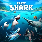 Crazy Shark