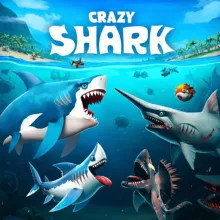 Crazy Shark